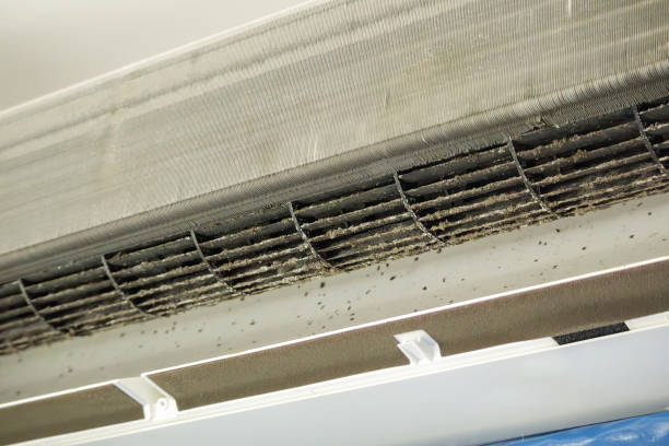 Best Residential Air Duct Cleaning  in Watervliet, MI